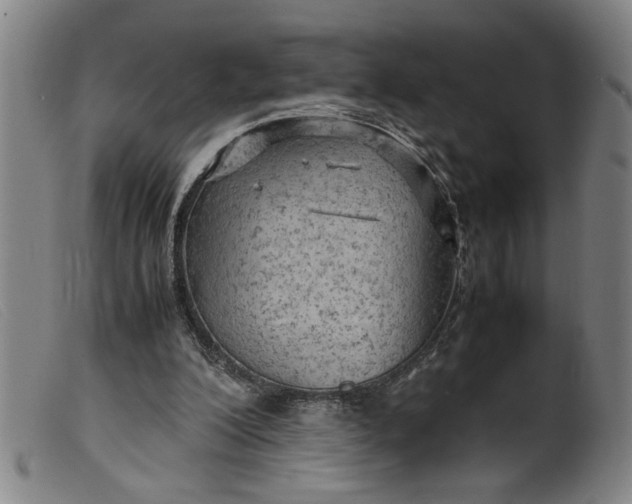 X0000099410200200805231613