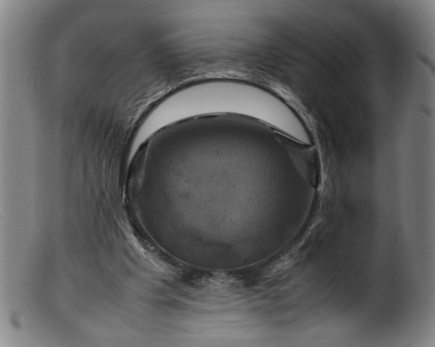 X0000099410201200805231613