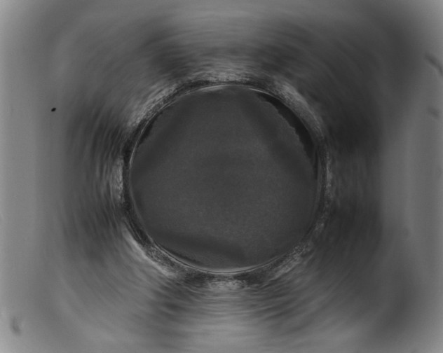 X0000099410202200805231613