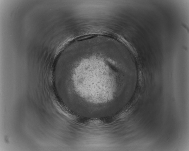 X0000099410203200805231613