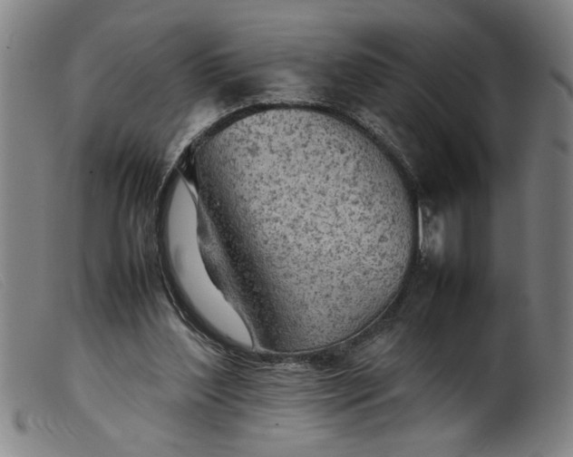 X0000099410204200805231613