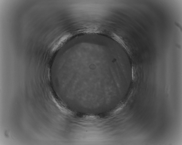 X0000099410205200805231613