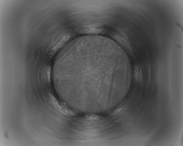 X0000099410206200805231613