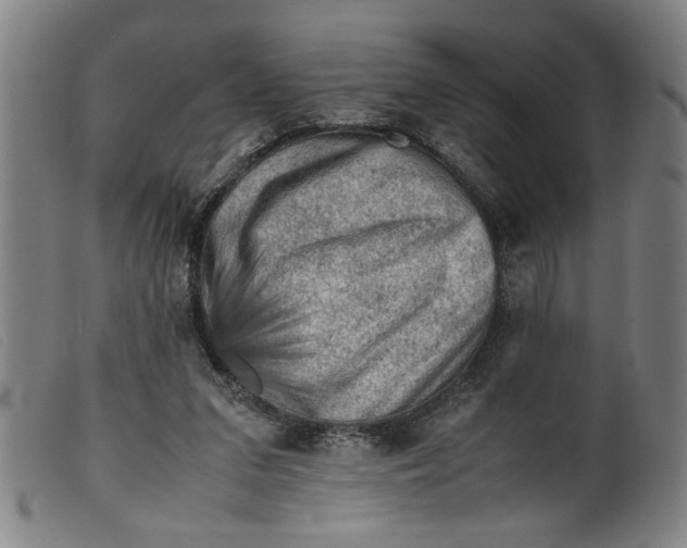 X0000099410207200805231613