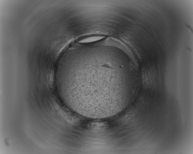 X0000099410208200805231613