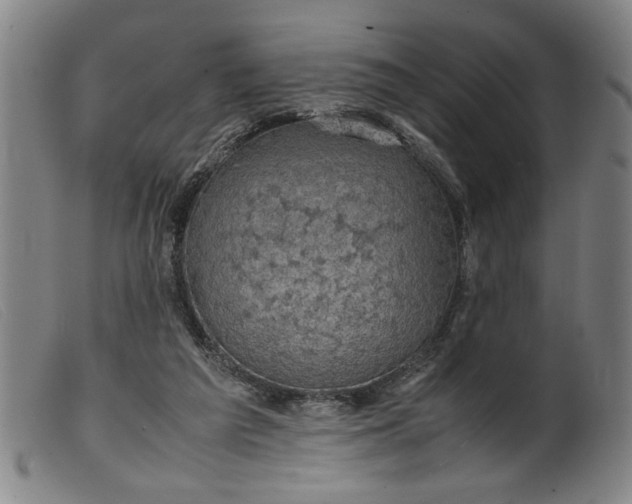 X0000099410209200805231613