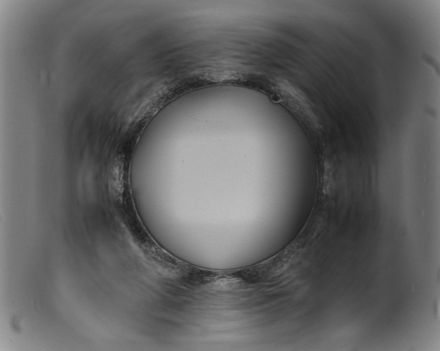 X0000099410210200805231613