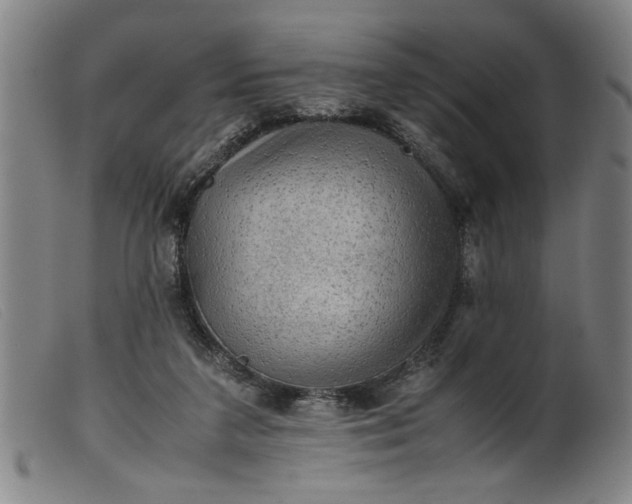 X0000099410211200805231613