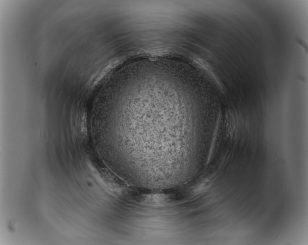 X0000099410212200805231613