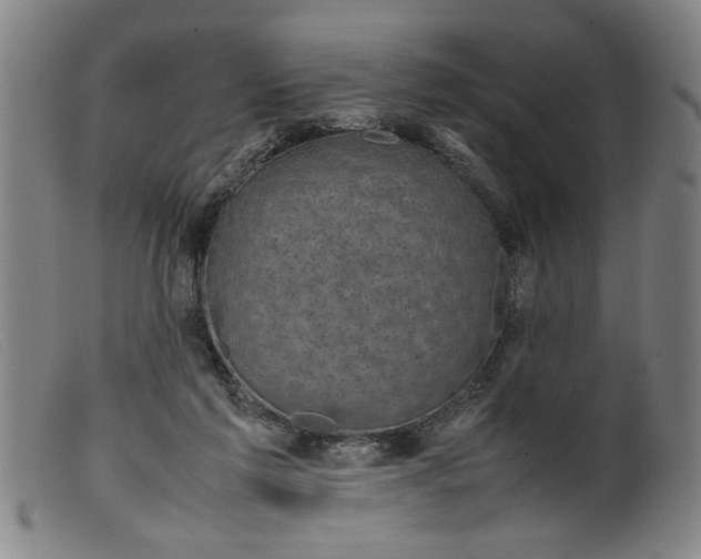 X0000099410213200805231613