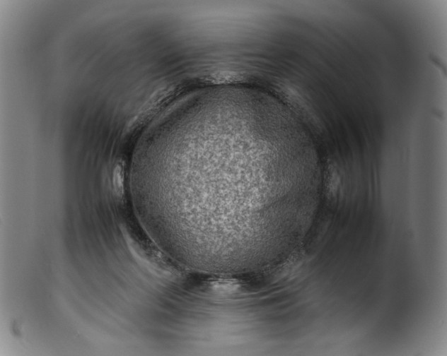 X0000099410214200805231613