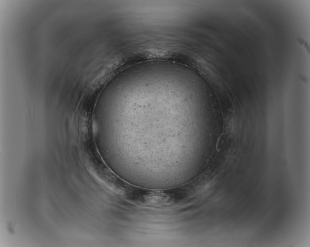 X0000099410215200805231613