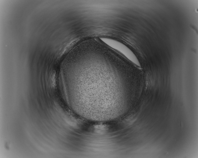 X0000099410216200805231613