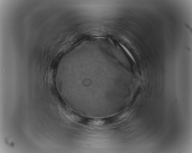 X0000099410217200805231613