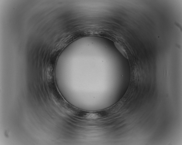 X0000099410218200805231613