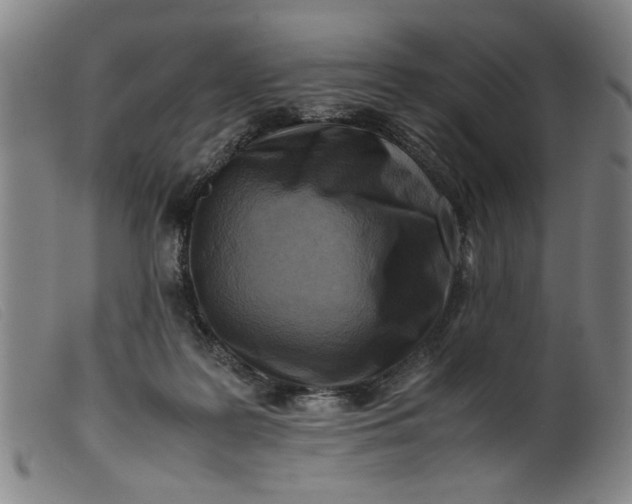 X0000099410219200805231613