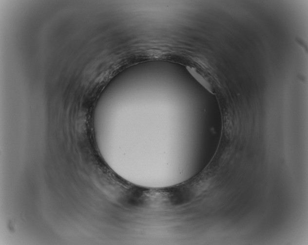 X0000099410221200805231612