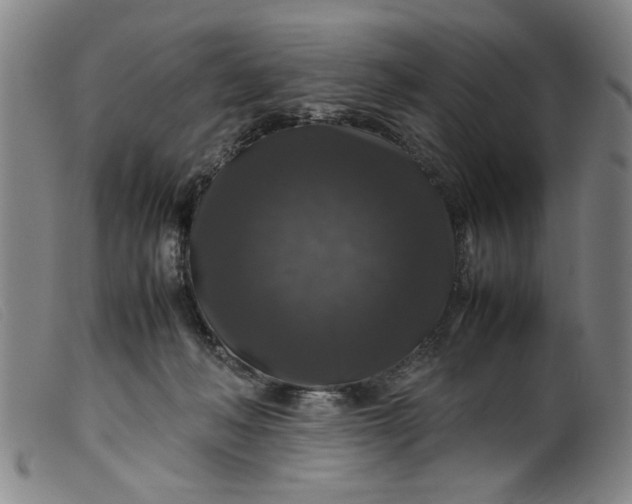 X0000099410222200805231612