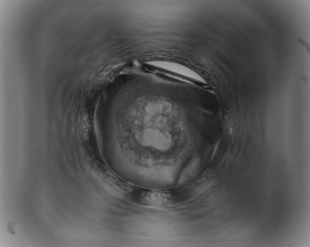 X0000099410223200805231612