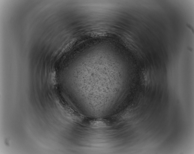 X0000099410224200805231612