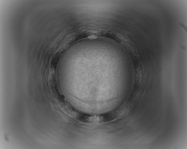 X0000099410225200805231612