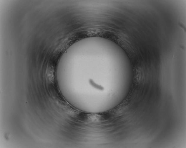 X0000099410226200805231612