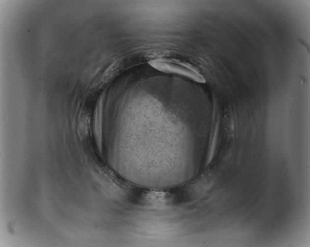 X0000099410227200805231612