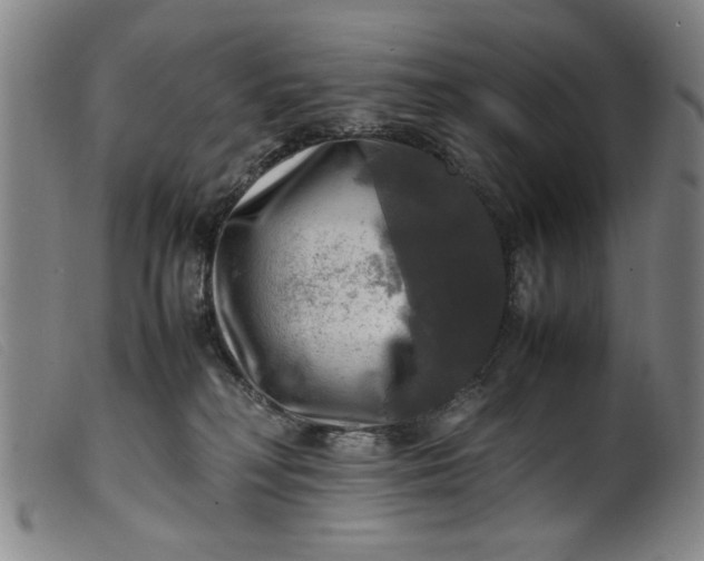 X0000099410230200805231612