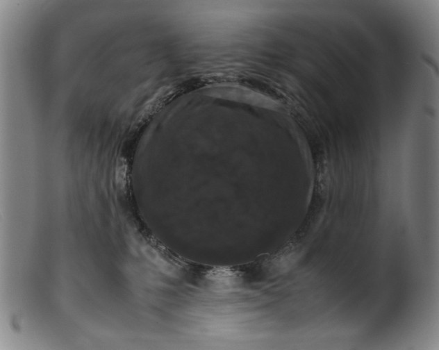 X0000099410231200805231612