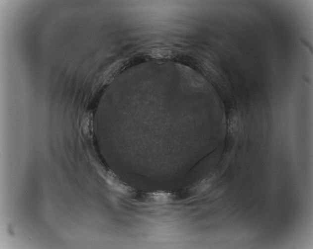 X0000099410233200805231612