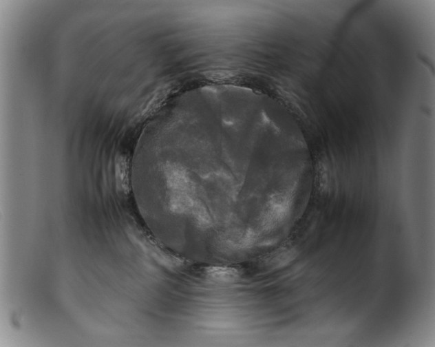 X0000099410234200805231612