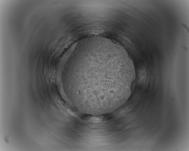 X0000099410236200805231612