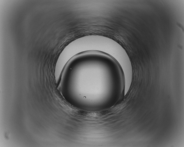 X0000099410237200805231612