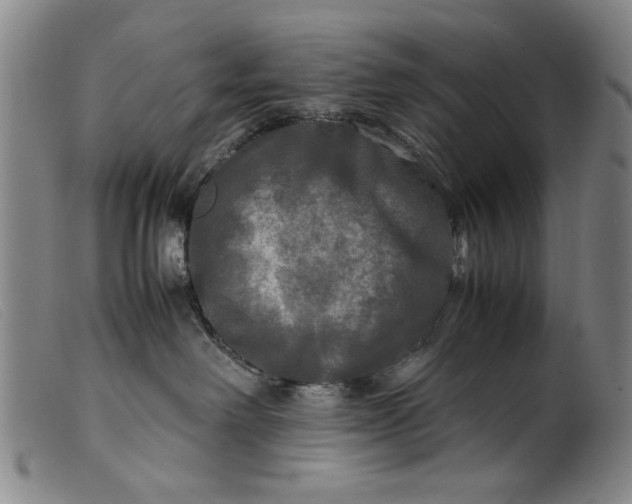 X0000099410238200805231612