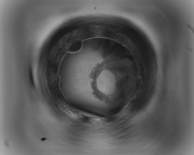 X0000099410239200805231612