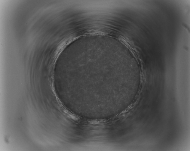 X0000099410241200805231611