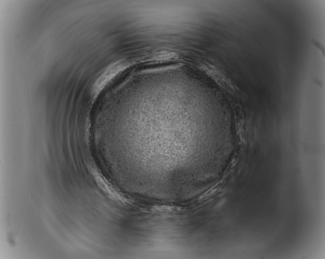 X0000099410242200805231611