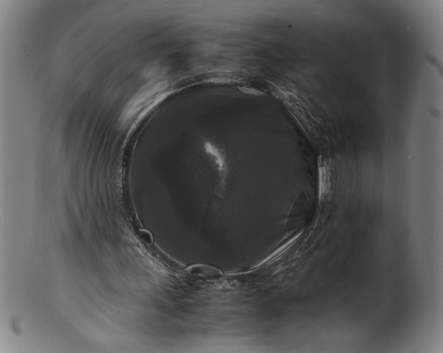 X0000099410243200805231611