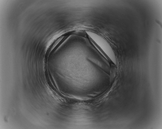 X0000099410244200805231611