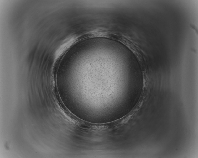 X0000099410245200805231611