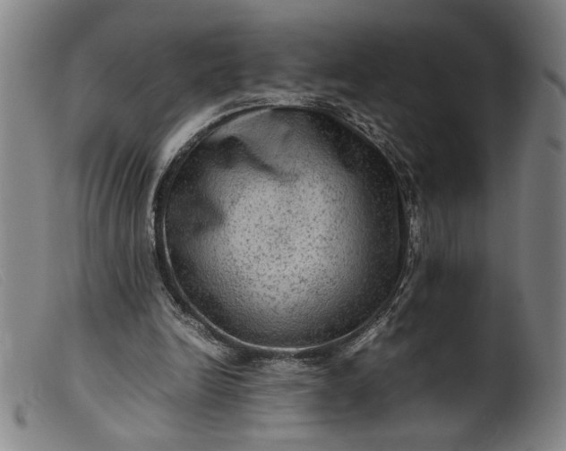 X0000099410246200805231611