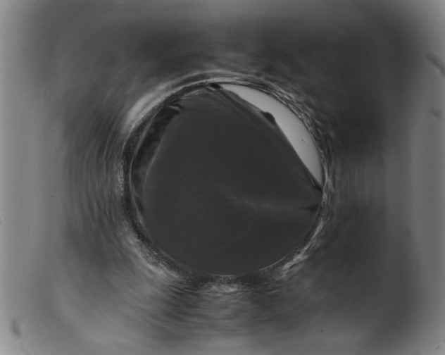 X0000099410247200805231611