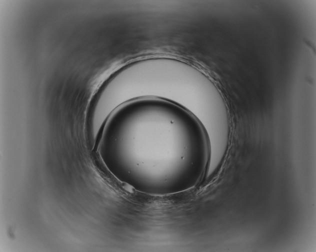 X0000099410248200805231611