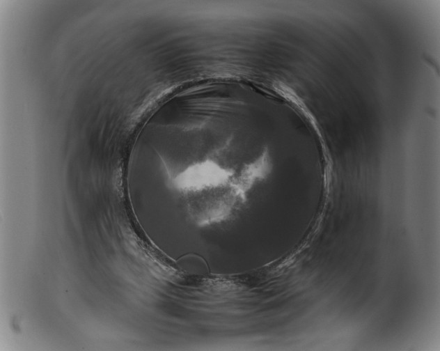 X0000099410249200805231612