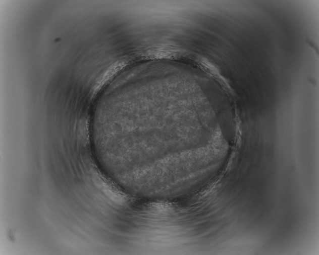 X0000099410250200805231612