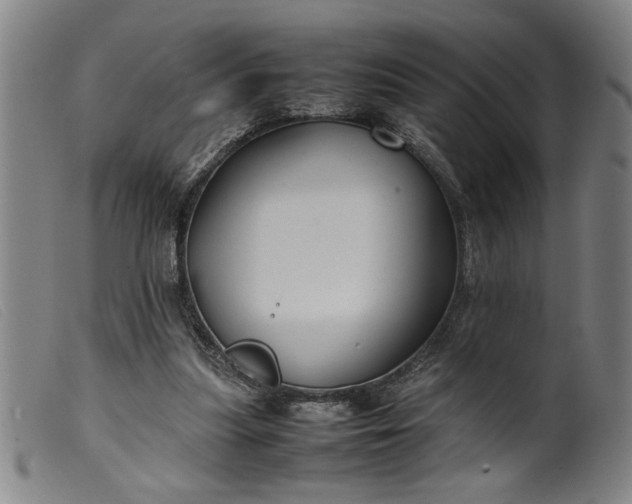 X0000099410251200805231612