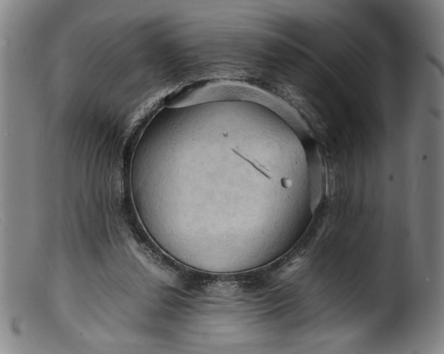 X0000099410252200805231612