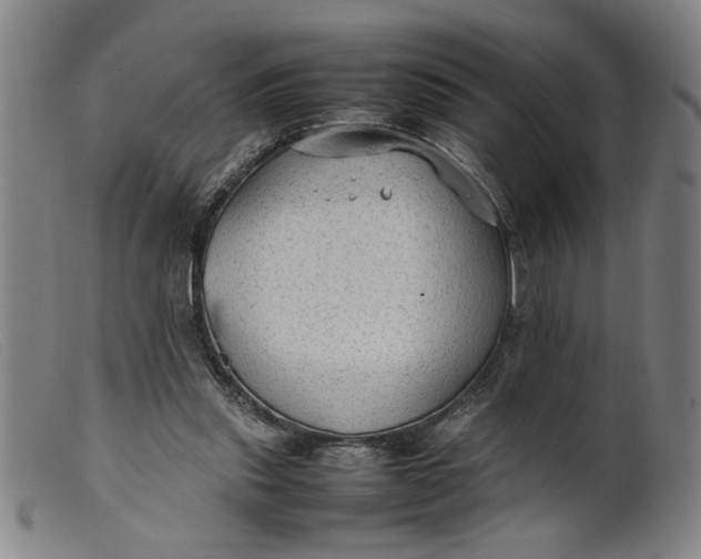 X0000099410253200805231612