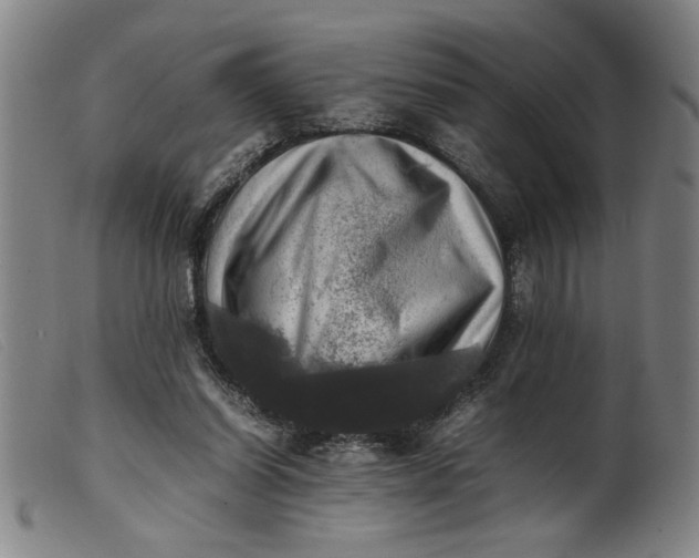 X0000099410254200805231612