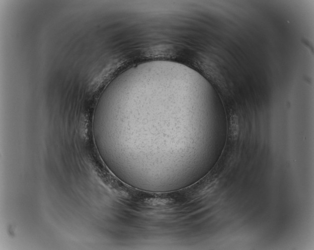 X0000099410255200805231612